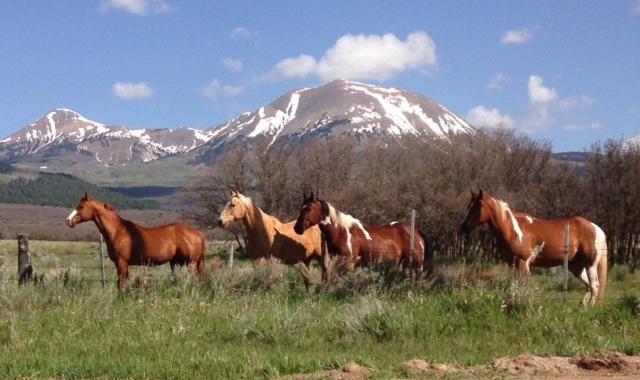 Mount Peale Country Inn La Sal Экстерьер фото