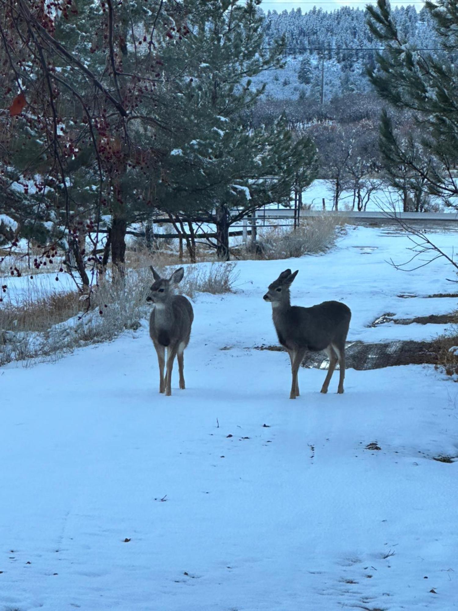 Mount Peale Country Inn La Sal Экстерьер фото